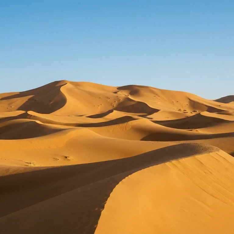 Sahara