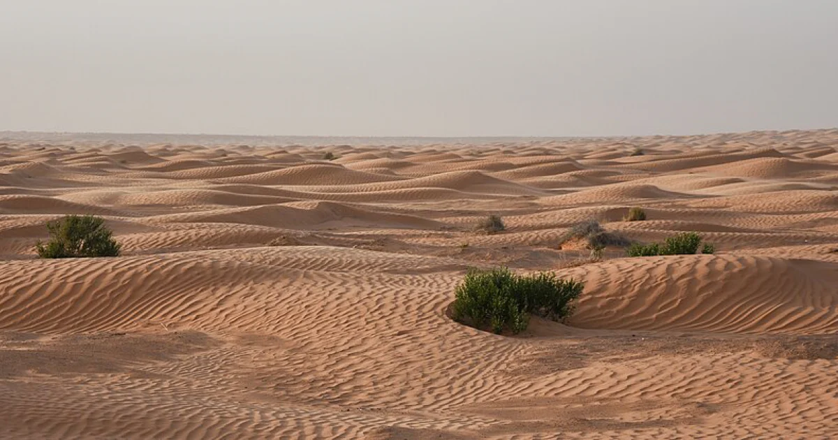 Desiertos del mundo